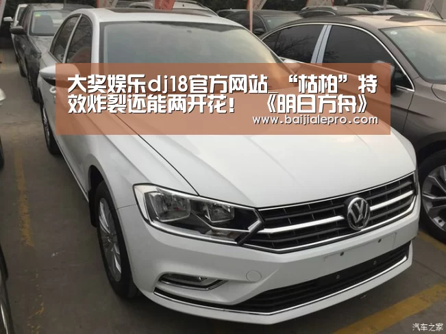 大奖娱乐dj18官方网站下载