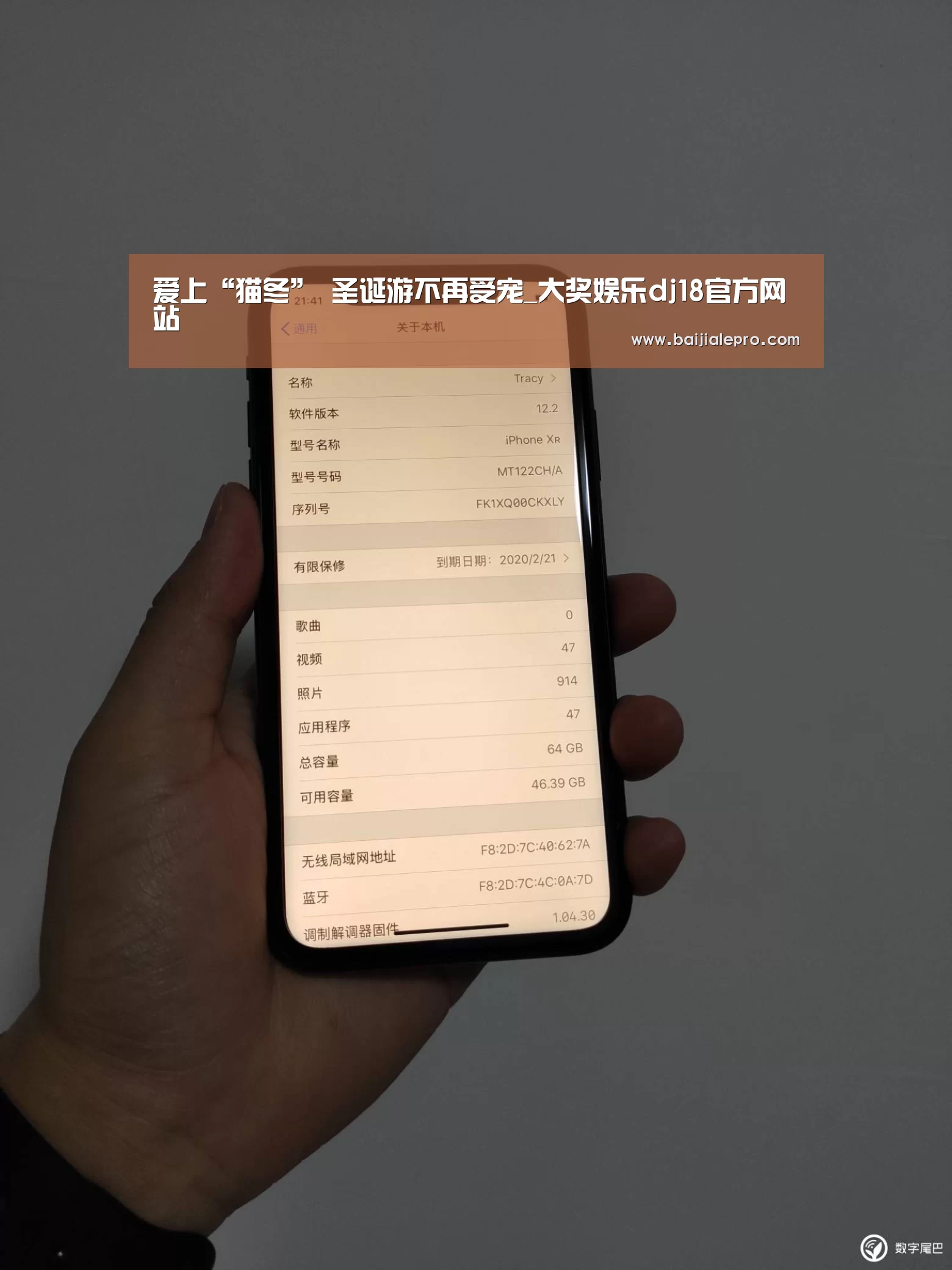 爱上“猫冬” 圣诞游不再受宠_大奖娱乐dj18官方网站(图1) 大奖娱乐dj18官方网站下载