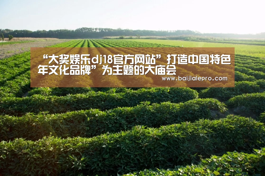 “大奖娱乐dj18官方网站”打造中国特色年文化品牌”为主题的大庙会(图4) 大奖娱乐dj18官方网站下载