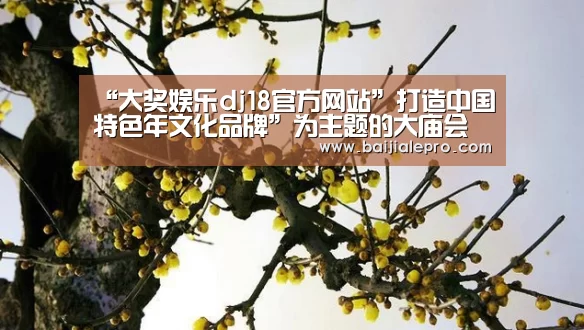 “大奖娱乐dj18官方网站”打造中国特色年文化品牌”为主题的大庙会(图2) 大奖娱乐dj18官方网站直播