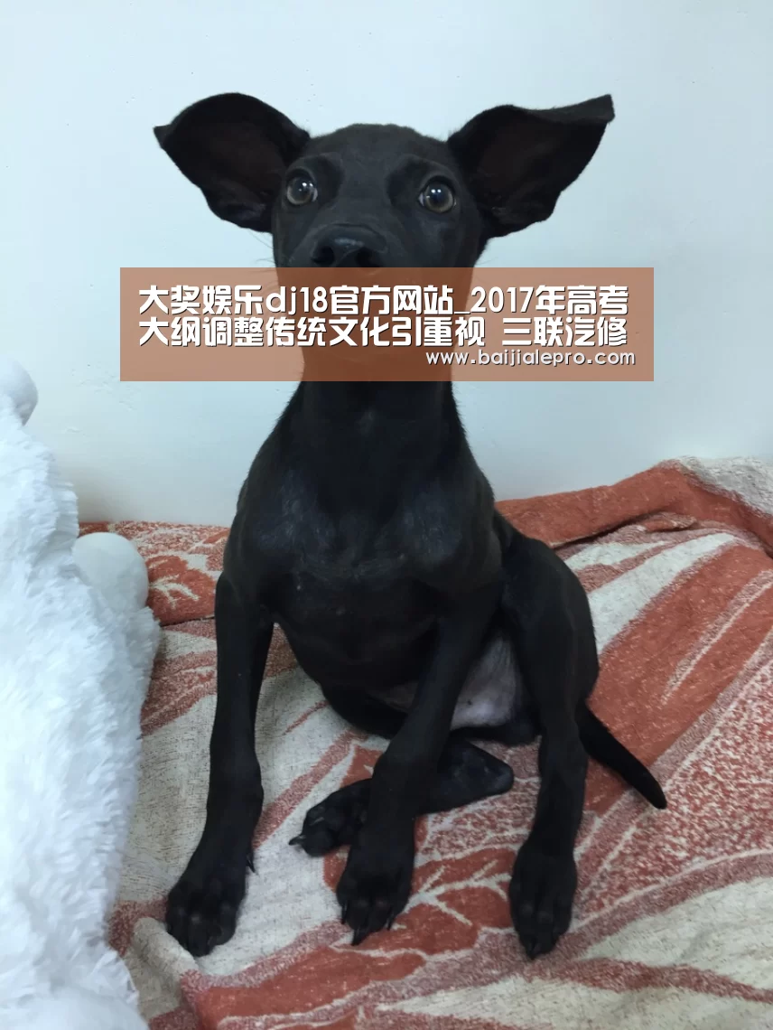 大奖娱乐dj18官方网站_2017年高考大纲调整传统文化引重视 三联汽修学院授“孝文化”助成才(图1) 大奖娱乐dj18官方网站
