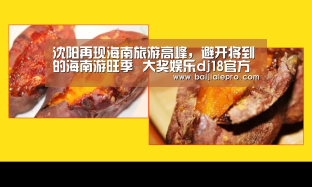 大奖娱乐dj18官方网站